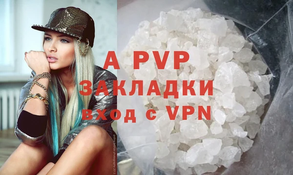 гидра Алексин