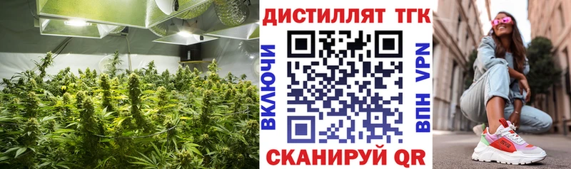 Дистиллят ТГК концентрат  blacksprut   Кирс  наркота 