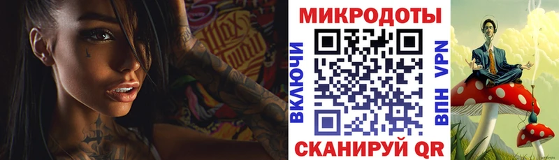 Псилоцибиновые грибы GOLDEN TEACHER Кирс